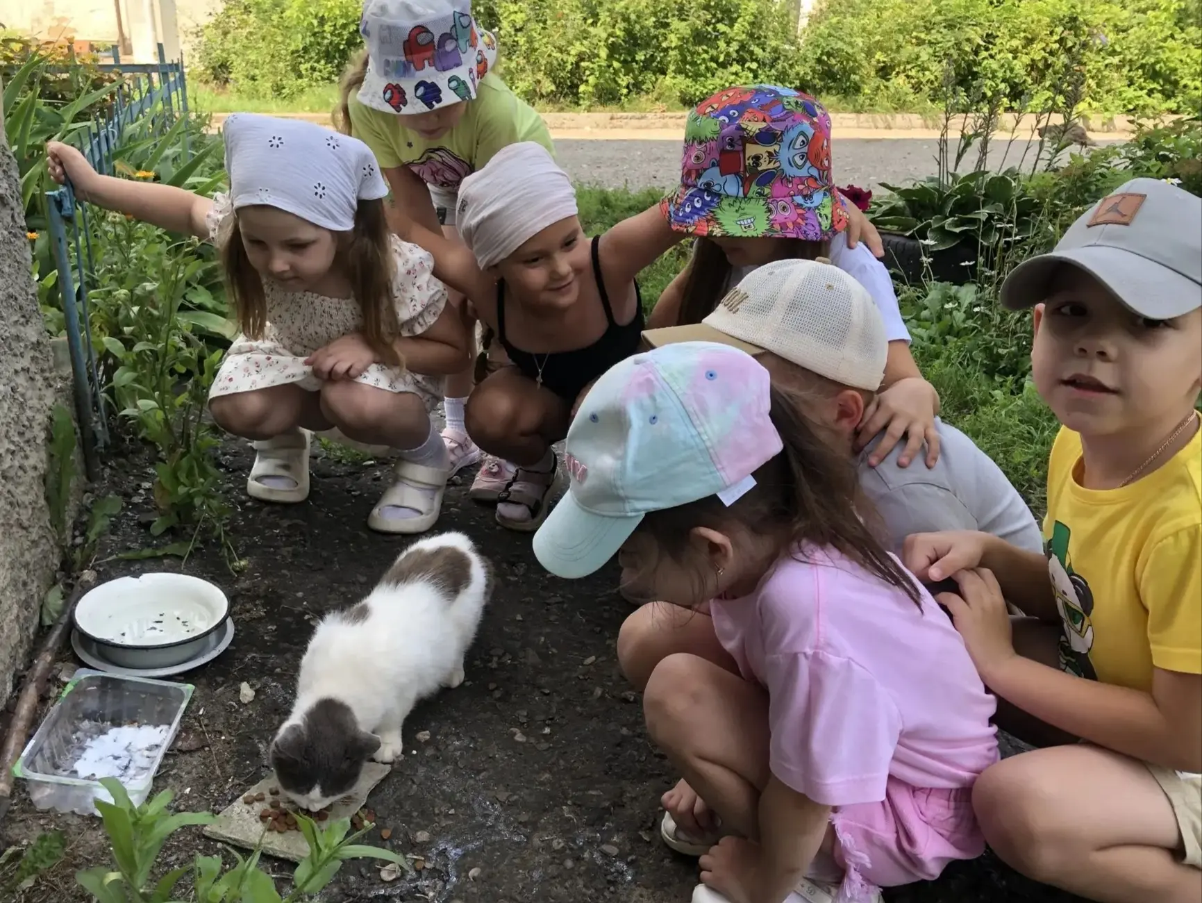 🐾Маленькие лапки большого добра: как наши дошколята встретили День доброты.
