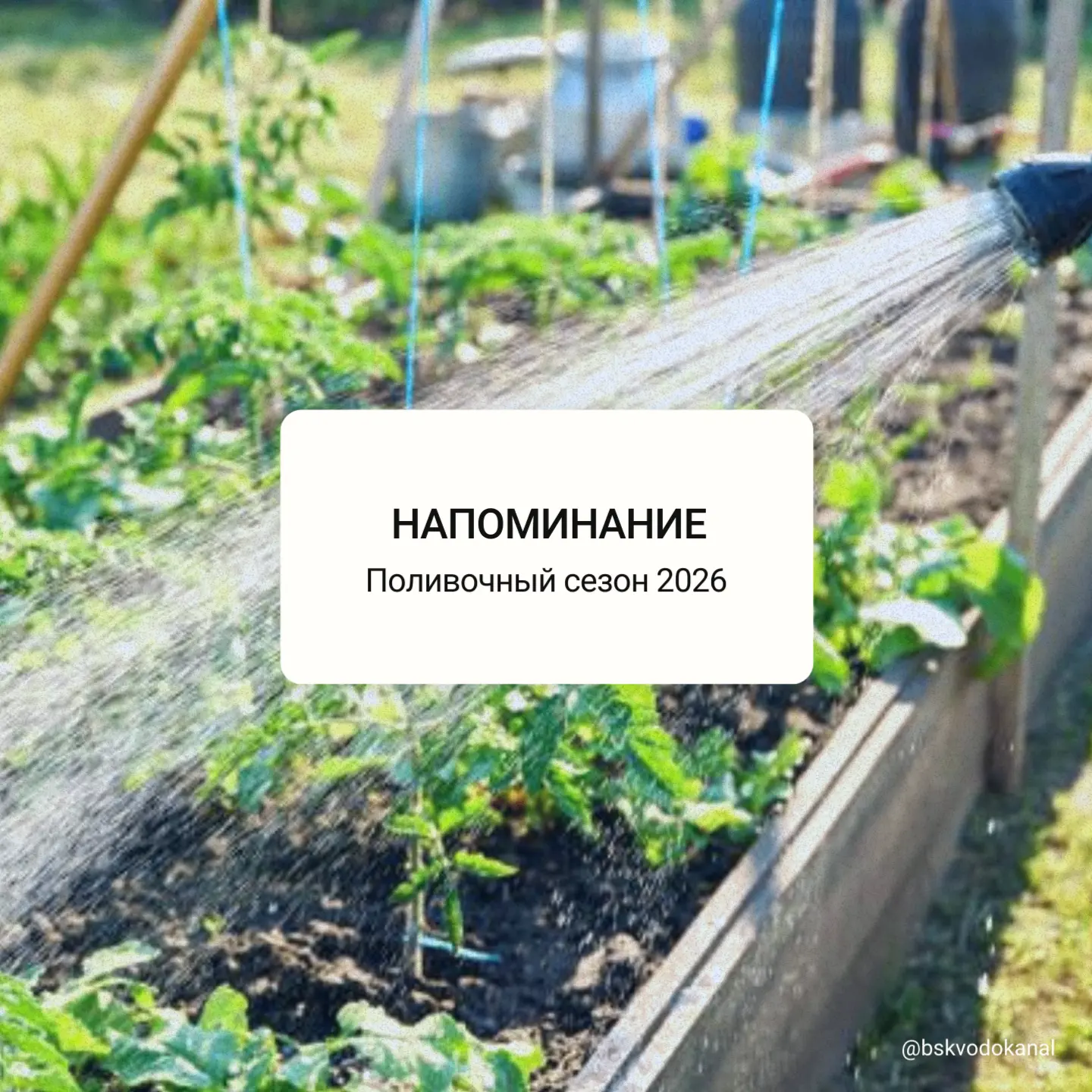 Поливочный сезон уже идет полным ходом, и мы напоминаем нашим абонентам о необходимости актуализации