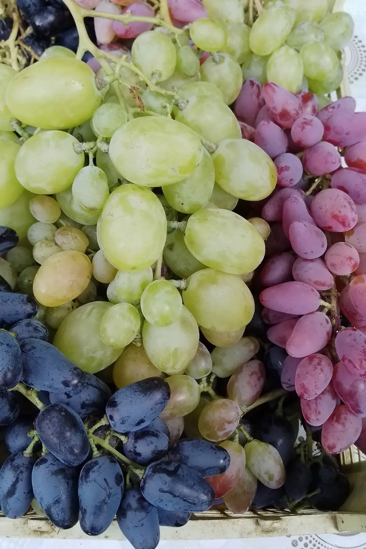 Продам виноград! Столовых сортов. По цене 80₽. п.Георгиевка, Лутугинского района. +7959...