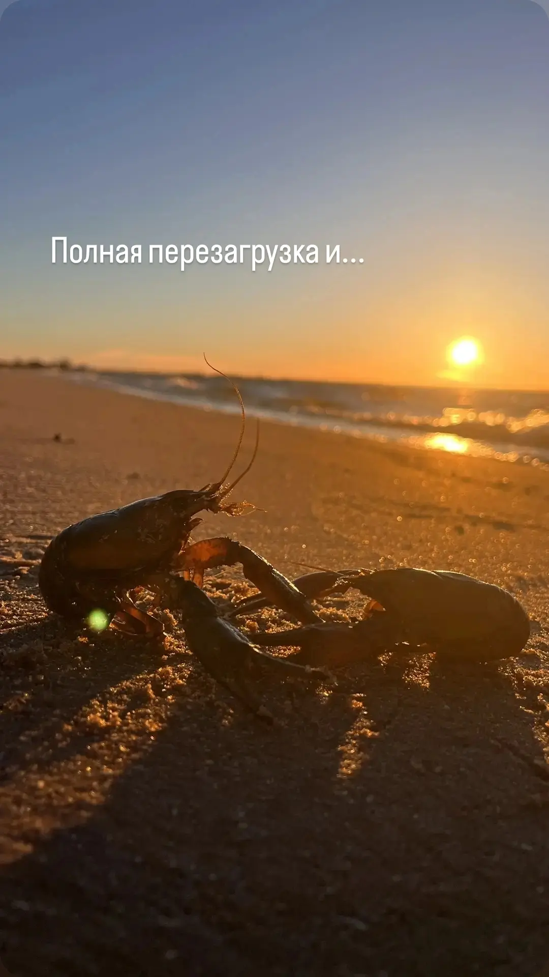 Никаких новостей и отсутствие стресса...то, что нужно каждому из нас 💙