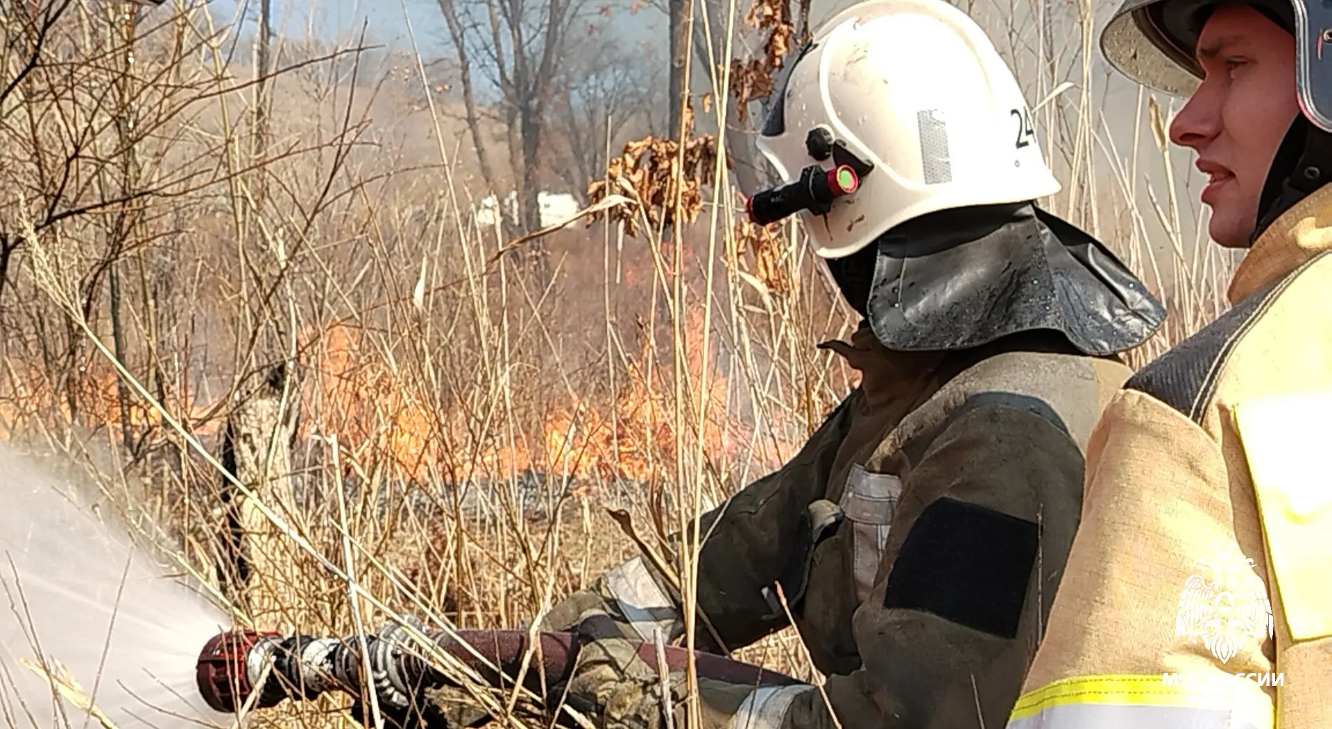 🔵 В Приморье за минувшие сутки:     🔹ЧС не произошло;  🔹на водных объектах происшествий не зарегистр