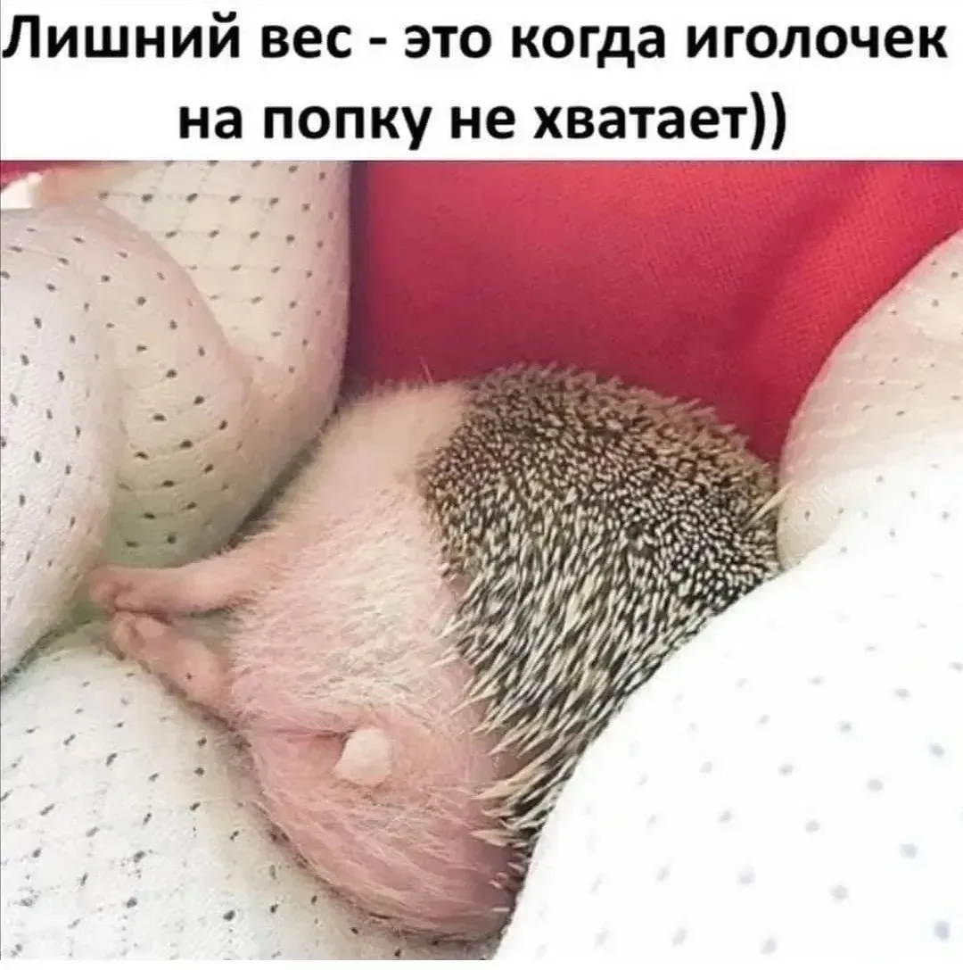 🎭  Юмор по ГОСТу... 

Подпишись, чтобы не потерять👇 

📌 Юмор по ГОСТу
