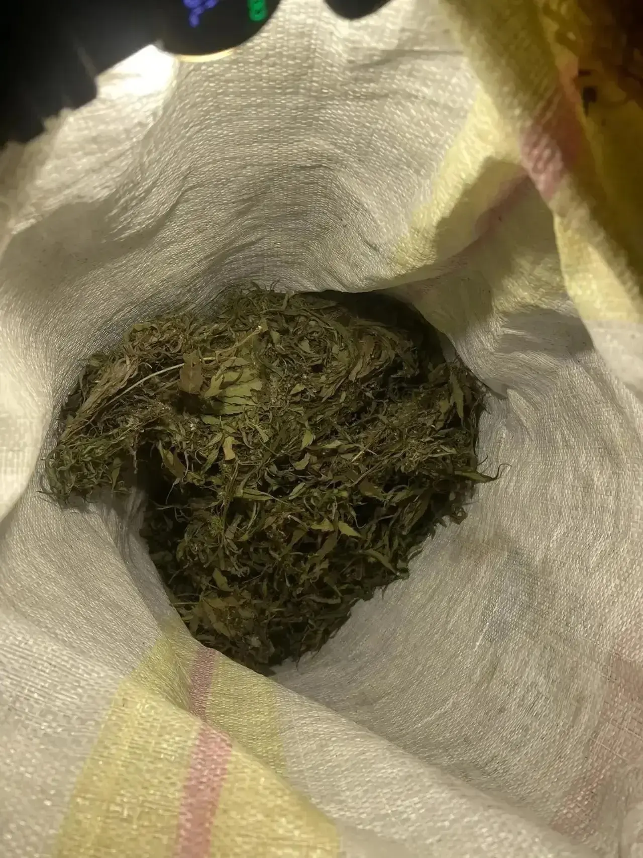 🌿 В Колпашевском районе у мужчины изъяли 430 граммов марихуаны.