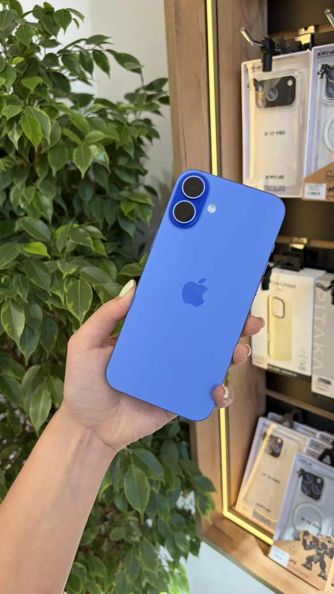 📱Подержанный iPhone 16 Plus 256GB Ultramarine

🏷️ 54 990₽
Емкость АКБ 🔋93%
Комплект: кабель, коро