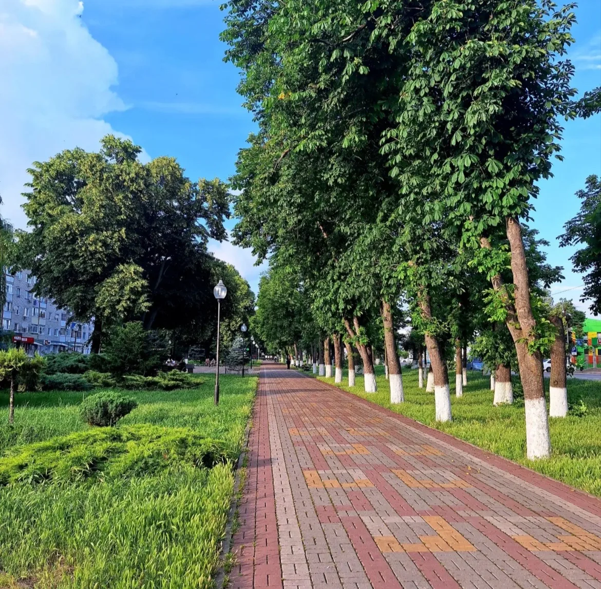 Доброе утро 🌅🤗