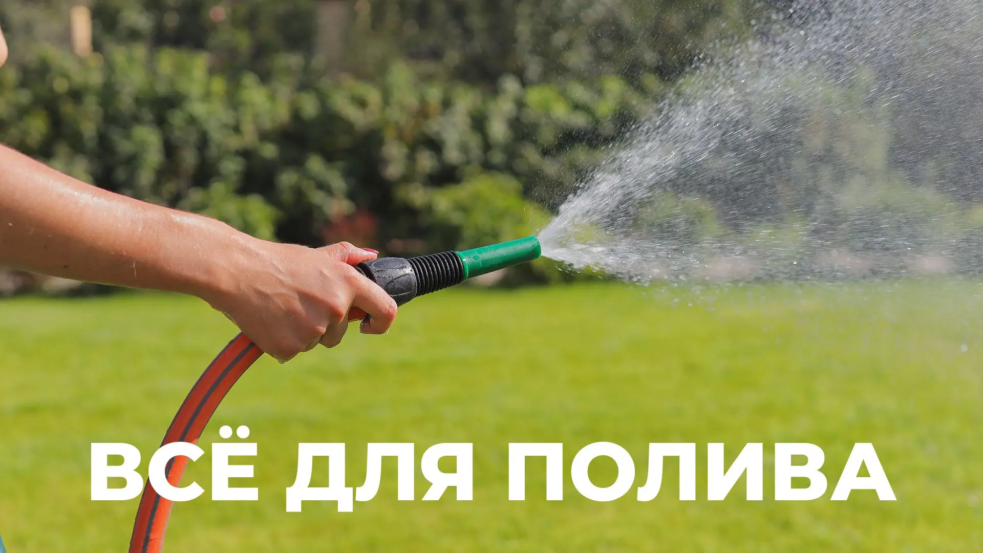 В жаркую погоду растениям требуется больше влаги, а значит, полив становится одной из г...