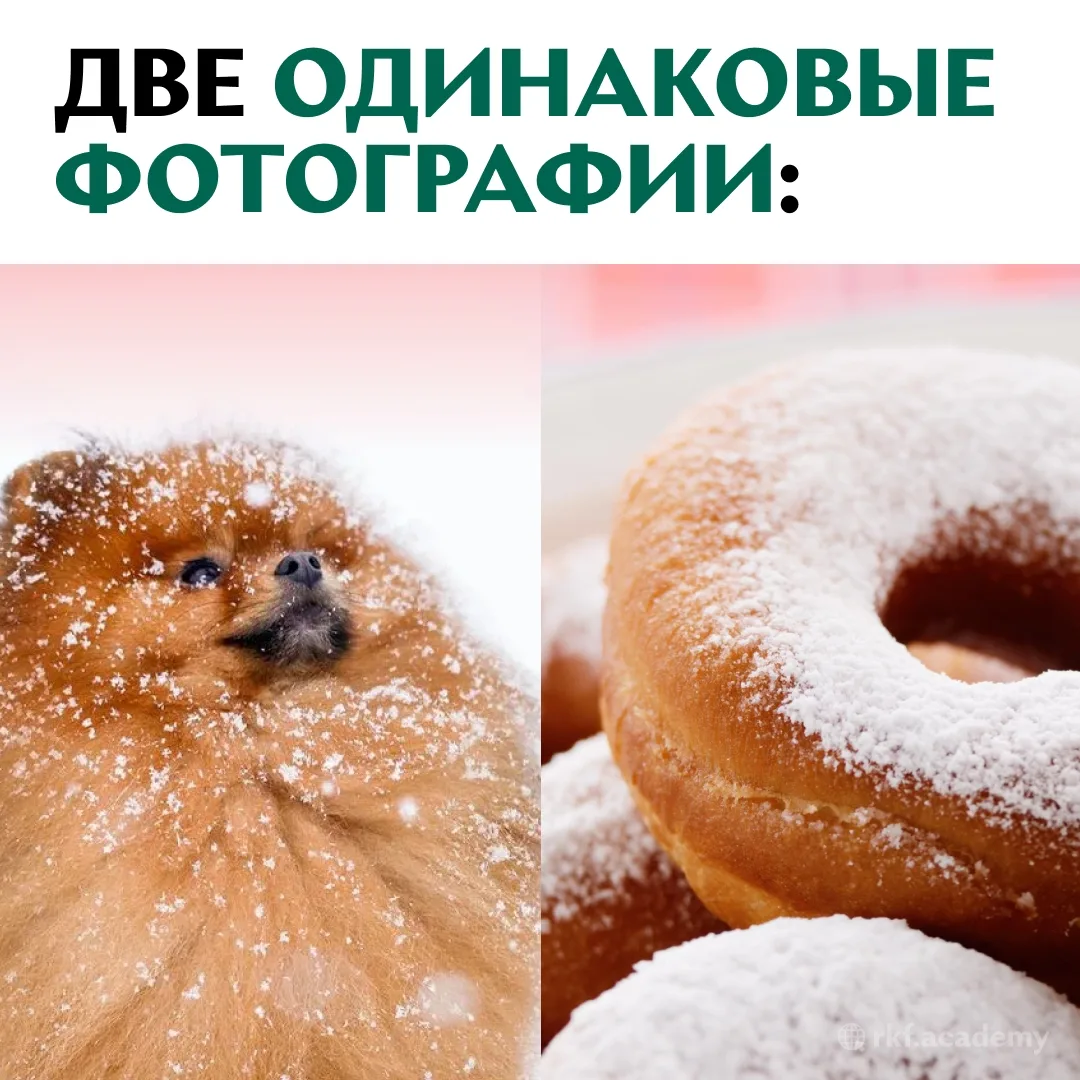 И в чём мы не правы?🤣