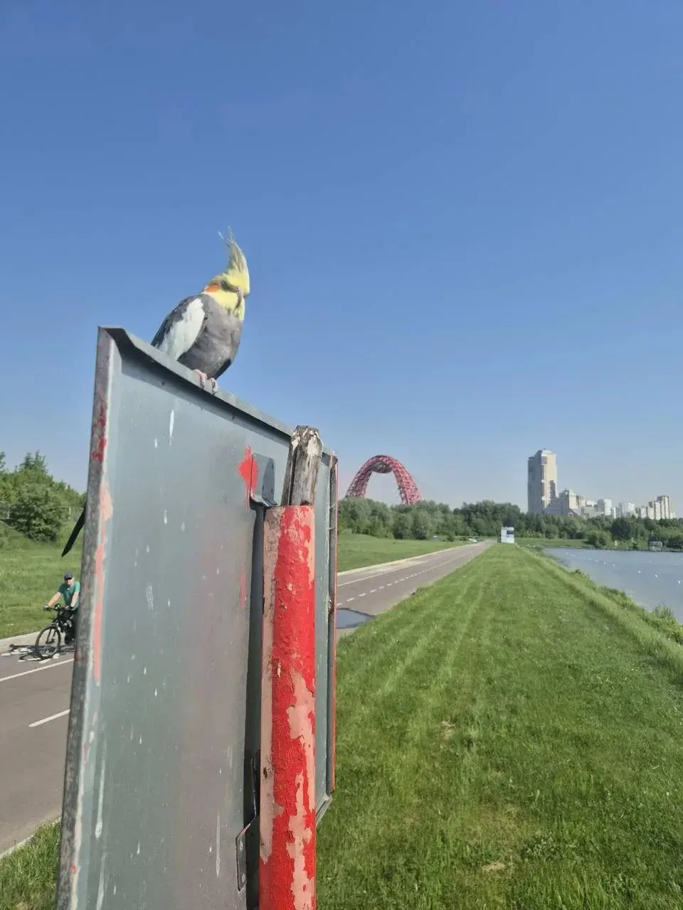 На Гребном канале в Крылатском замечен попугай 🦜  Может ищет кто его.    Прислать новость в бот в Ma