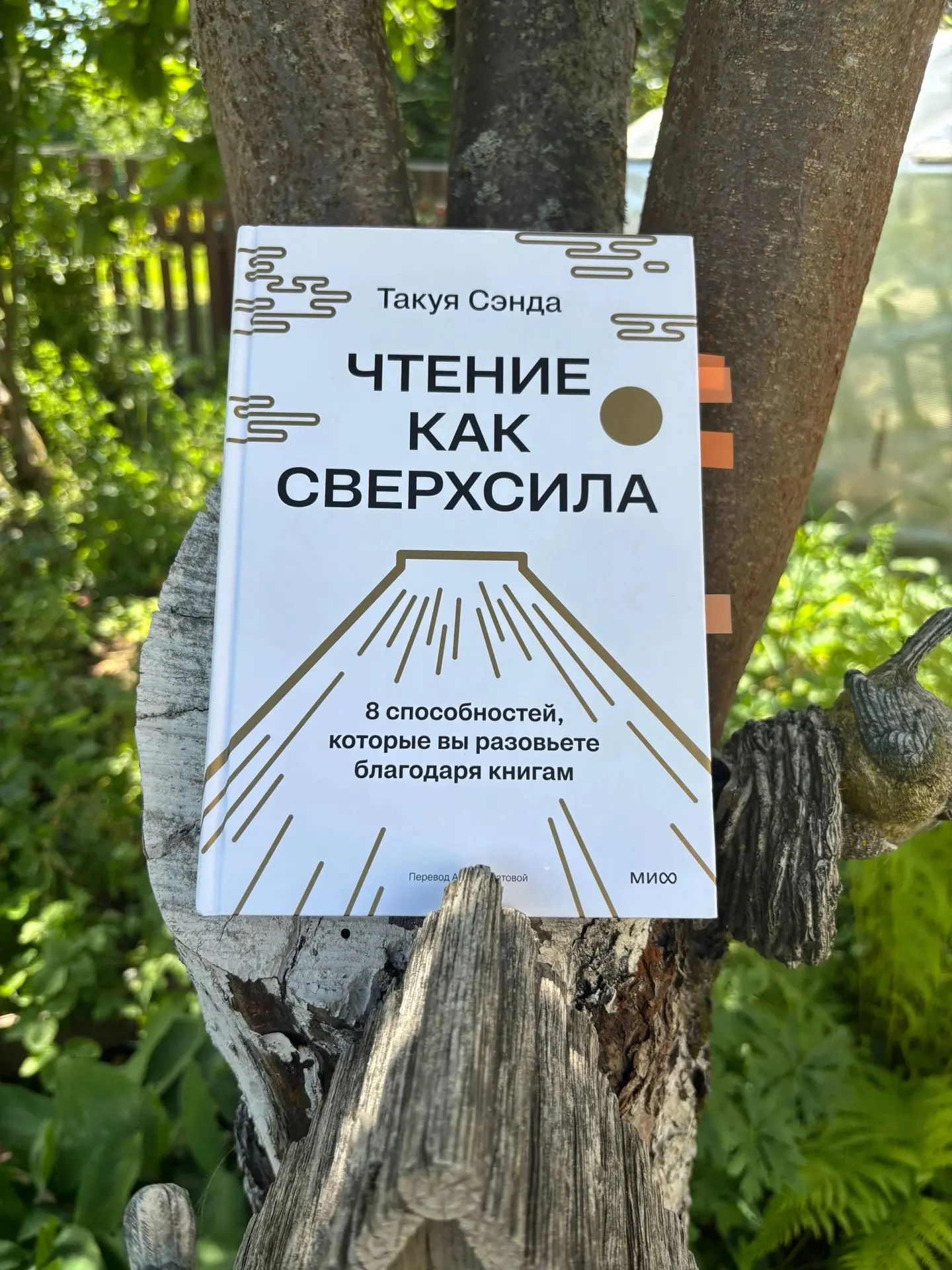 Обзор книги уже в ленте, а вот несколько интересных цитат для понимания текста:

 📚« Дети завидуют 