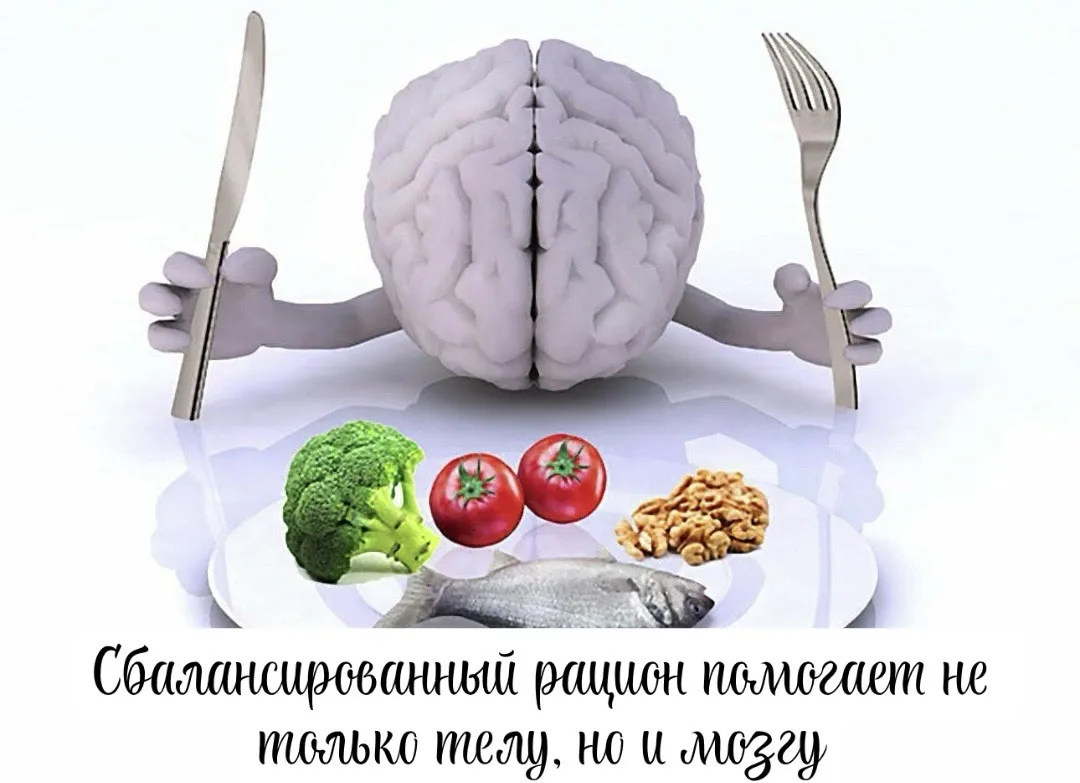 Сбалансированный рацион помогает не только телу, но и мозгу

Некоторые продукты особенно полезны для
