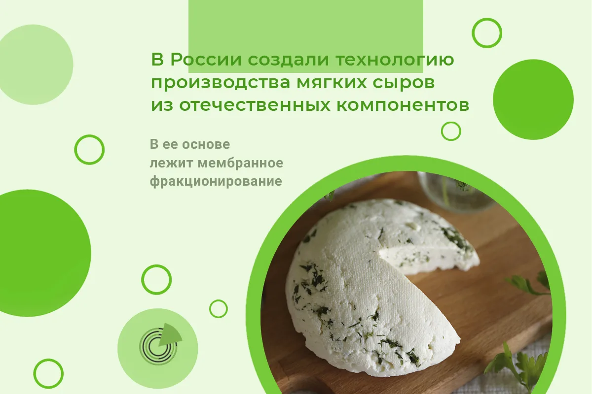 В РОССИИ СОЗДАЛИ ТЕХНОЛОГИЮ ПРОИЗВОДСТВА МЯГКИХ СЫРОВ ИЗ ОТЕЧЕСТВЕННЫХ КОМПОНЕНТОВ