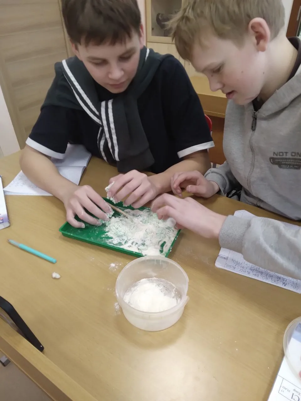 🧬В рамках Недели науки для обучающихся 8 класса был проведен необычный урок " Удивител...