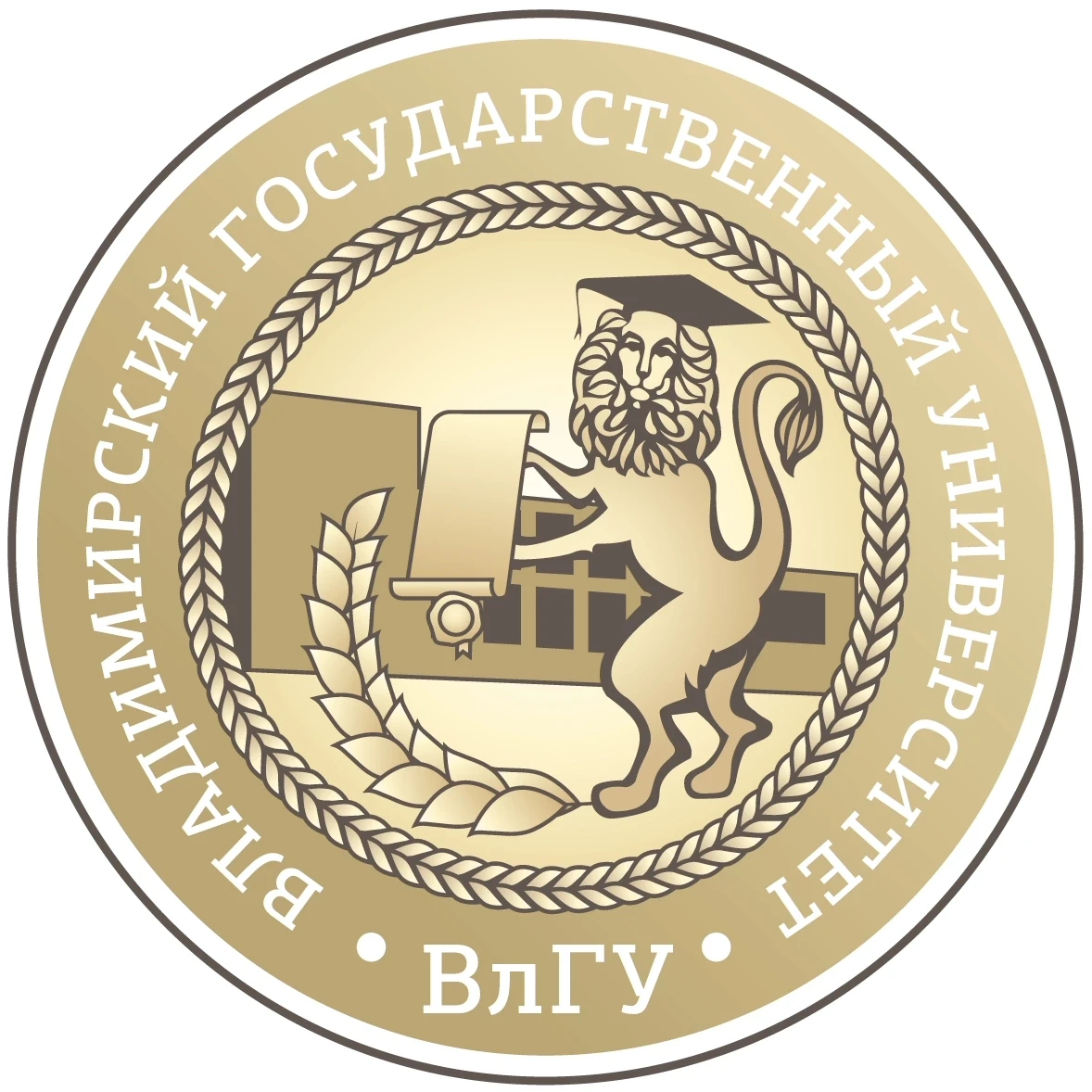 Владимирский государственный университет вошёл в ТОП-20 лучших вузов в направлении «Обр...
