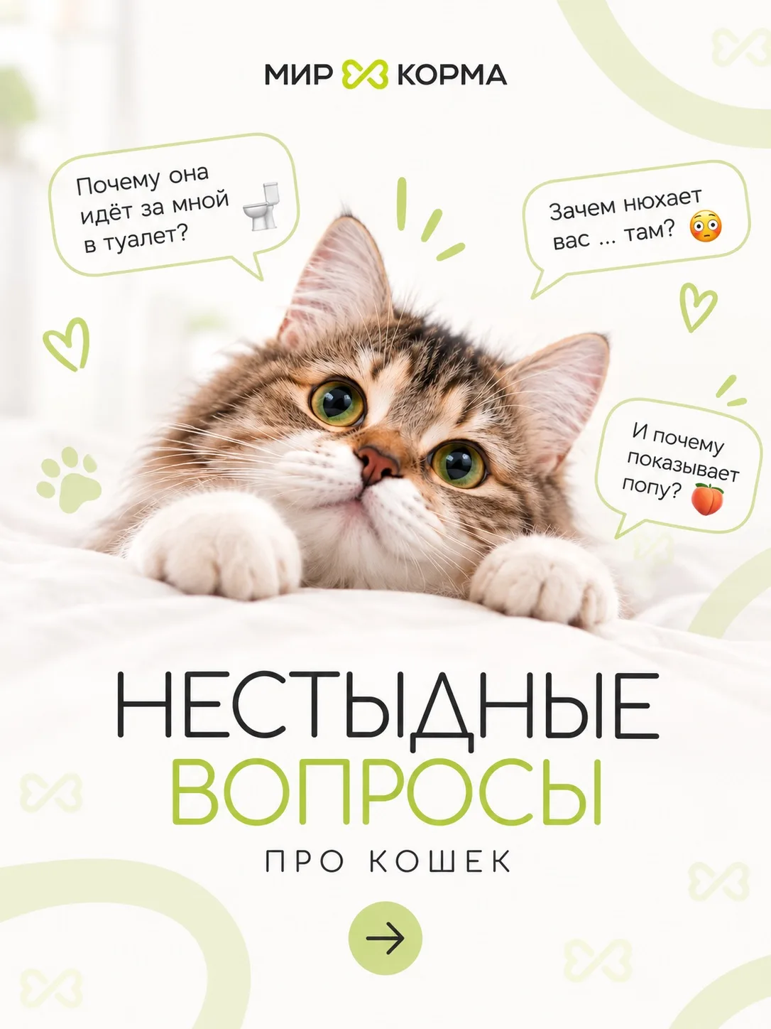 ЕСТЬ НЕСТЫДНЫЙ ВОПРОС? 😼