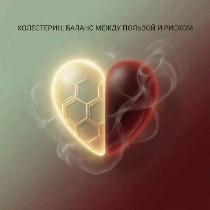8 октября в 16:00 врач-нутрициолог проведёт бесплатную лекцию «Холестерин: баланс между...