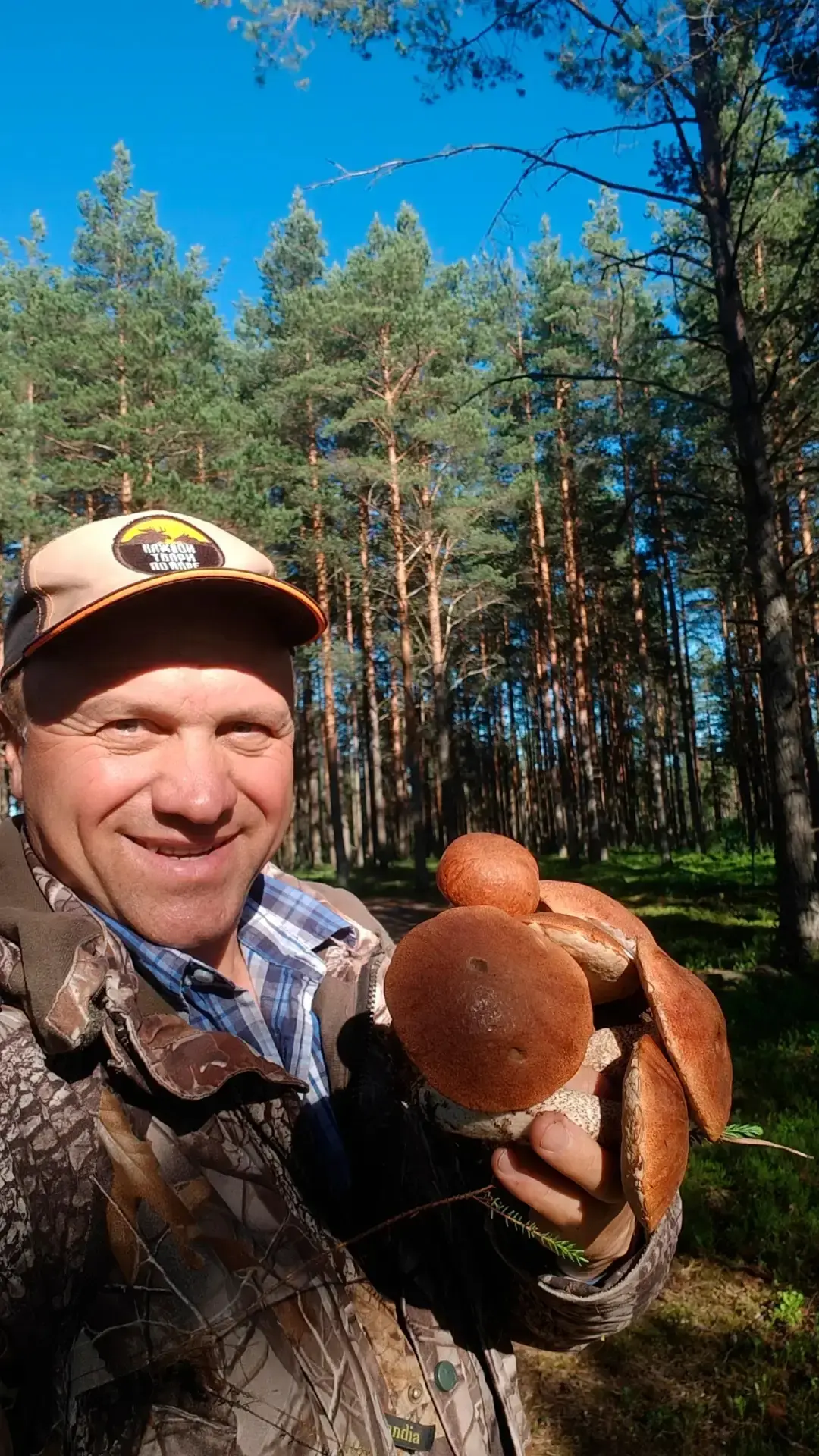 В Ленобласти начался сезон подосиновиков
