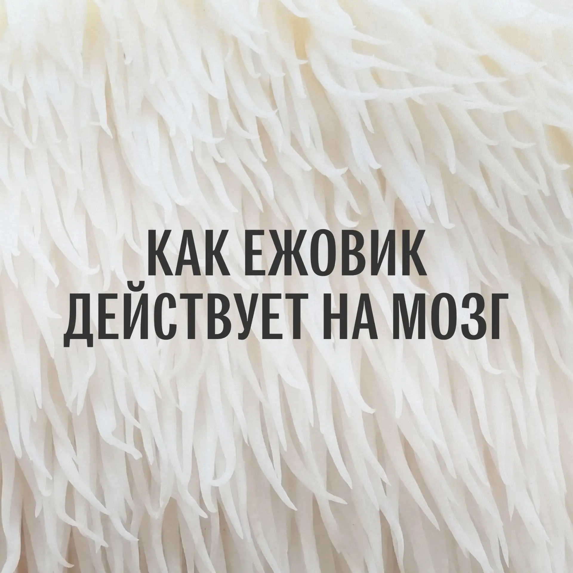 Повторенье — мать ученья. В рамках акции ВРЕМЯ УЧИТЬСЯ вспоминаем, в чем главная сила е...