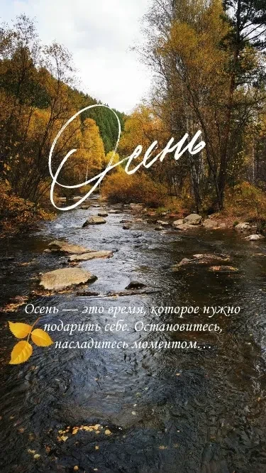 5 СОВЕТОВ ПСИХОЛОГА, КАК ПРОЖИТЬ ОСЕНЬ В УДОВОЛЬСТВИЕ🍁