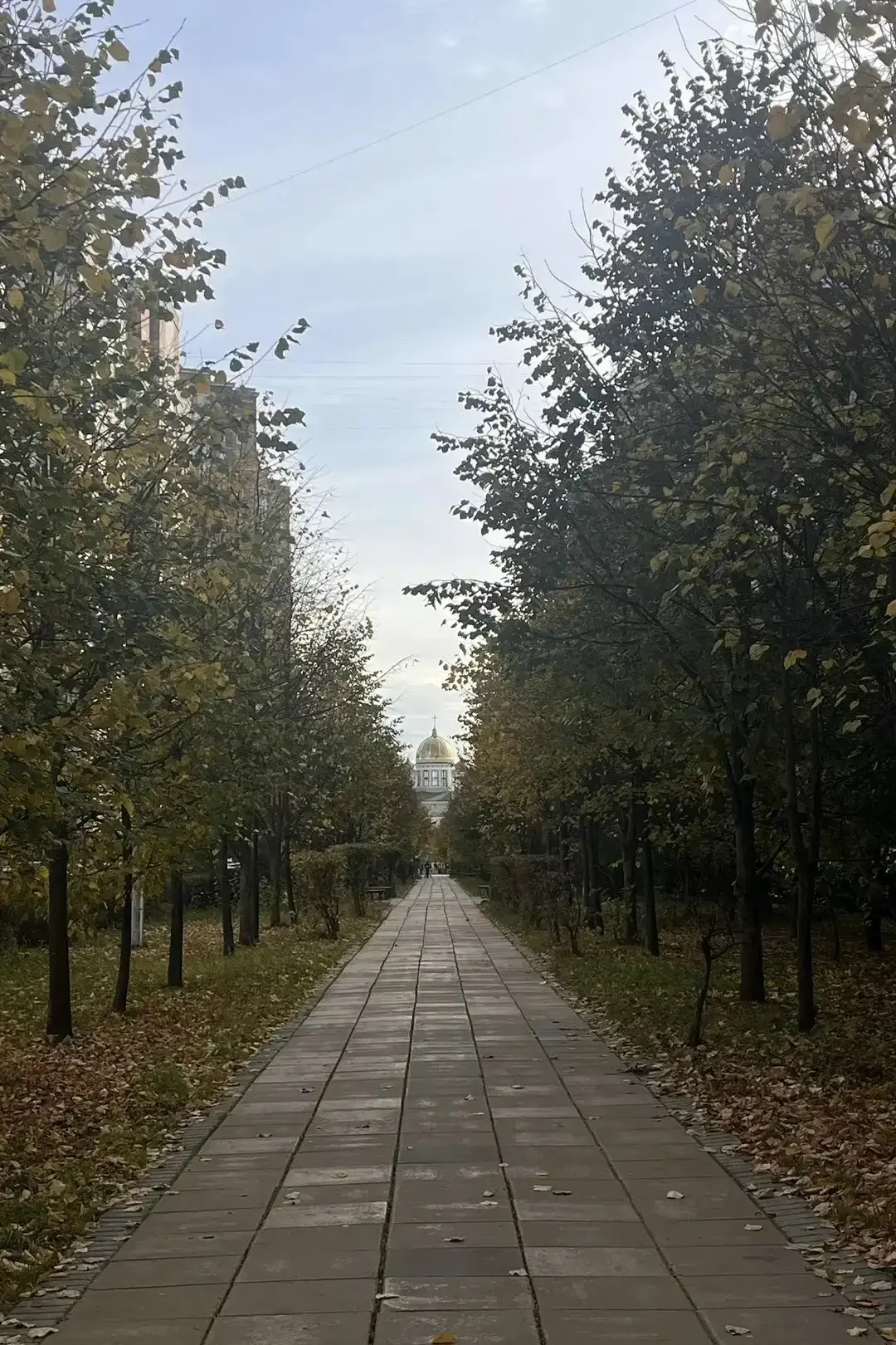 🍂 Осенняя красотка — Подольск 😍