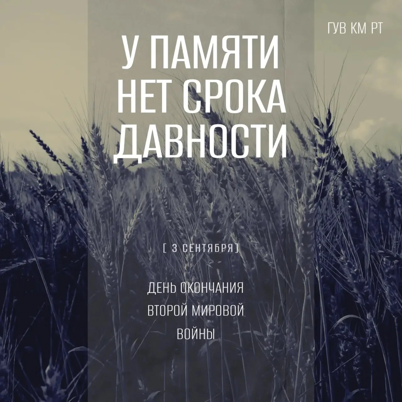 🕊 Уважаемые жители Республики Татарстан, дорогие ветераны!