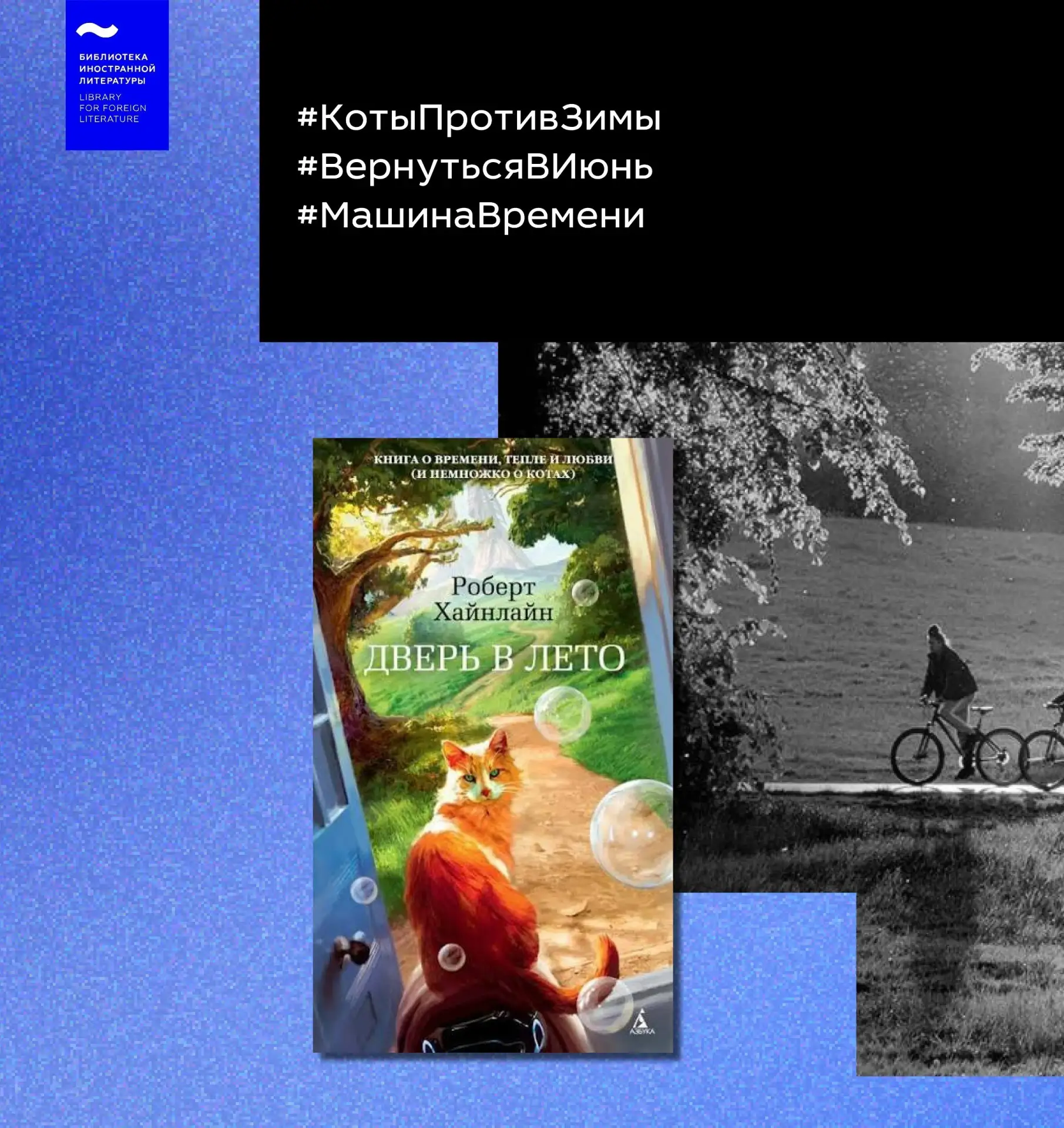 ✨Июль перевалил за середину, а значит впереди — целых полтора месяца лета!