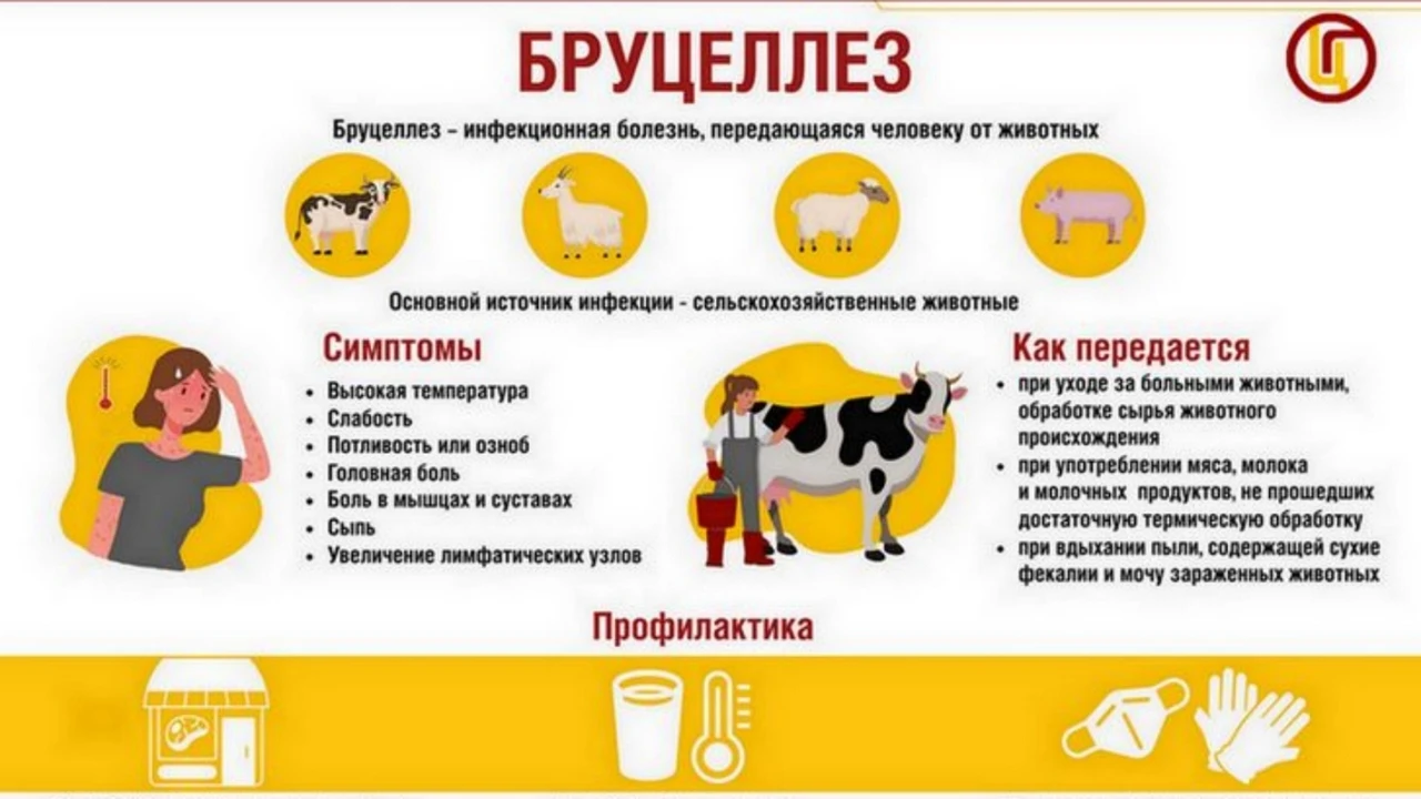 В личных подсобных хозяйствах села Новочерниговк Первоцелинного муниципального образова...