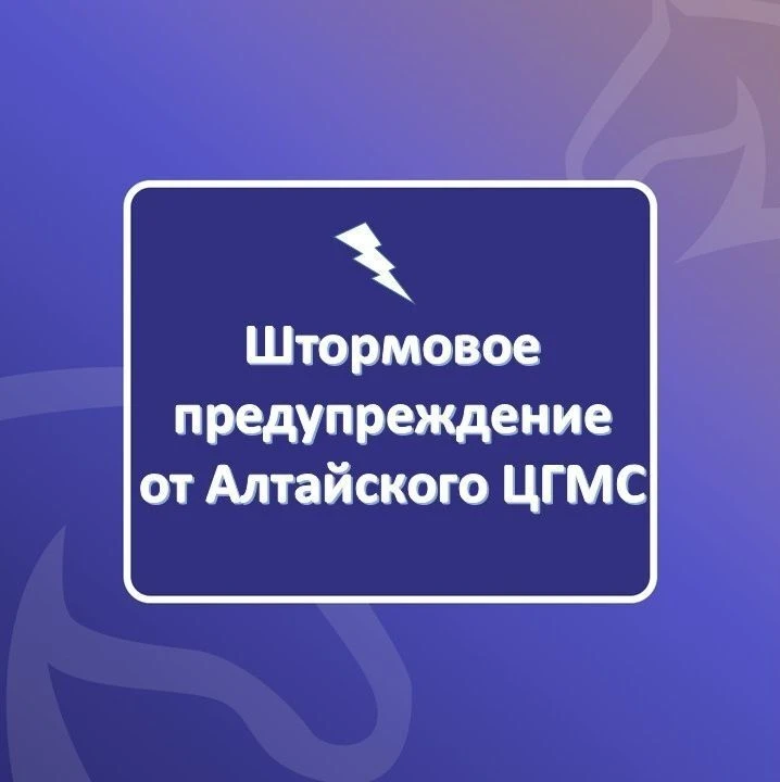 🌪️ В Алтайском крае днем 6 октября и ночью 7 октября ожидается усиление ветра местами ...