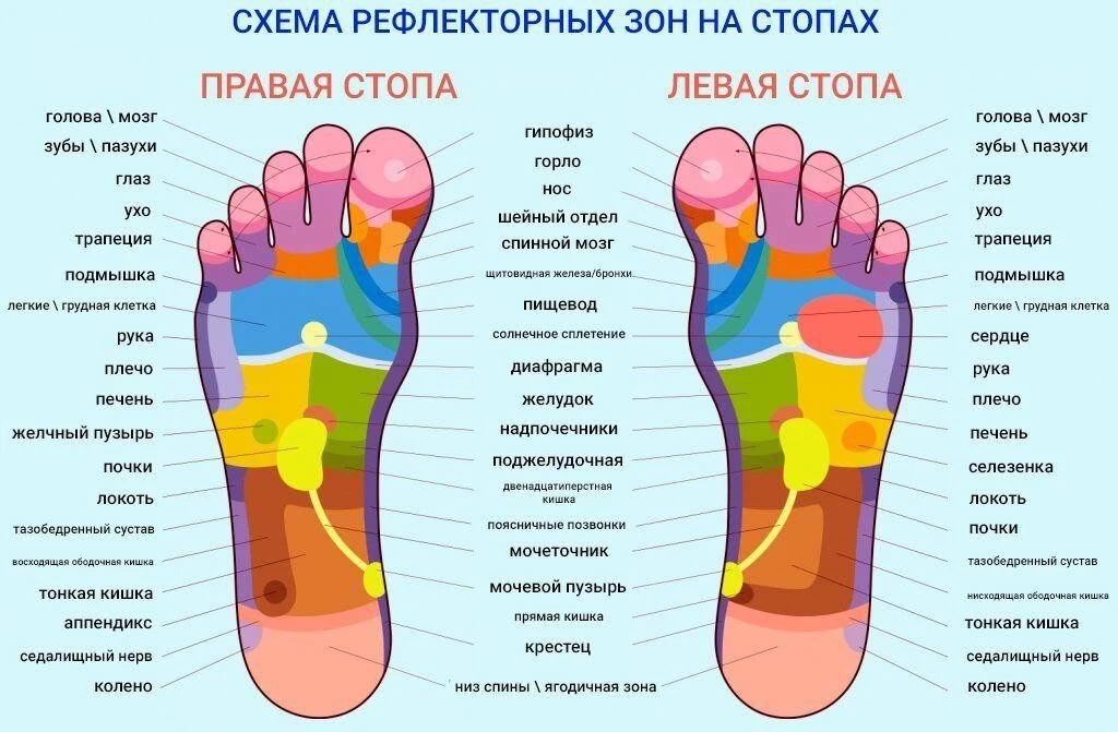 🔥Попробуйте массаж стоп мячиками!

Обычное перекатывание мячика стопой может сделать для вашей крас