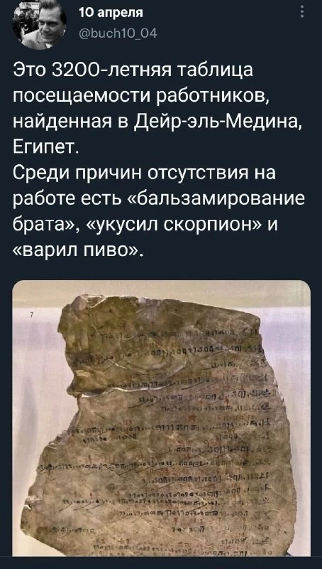 Берём на заметку, норм отмазки ☝️