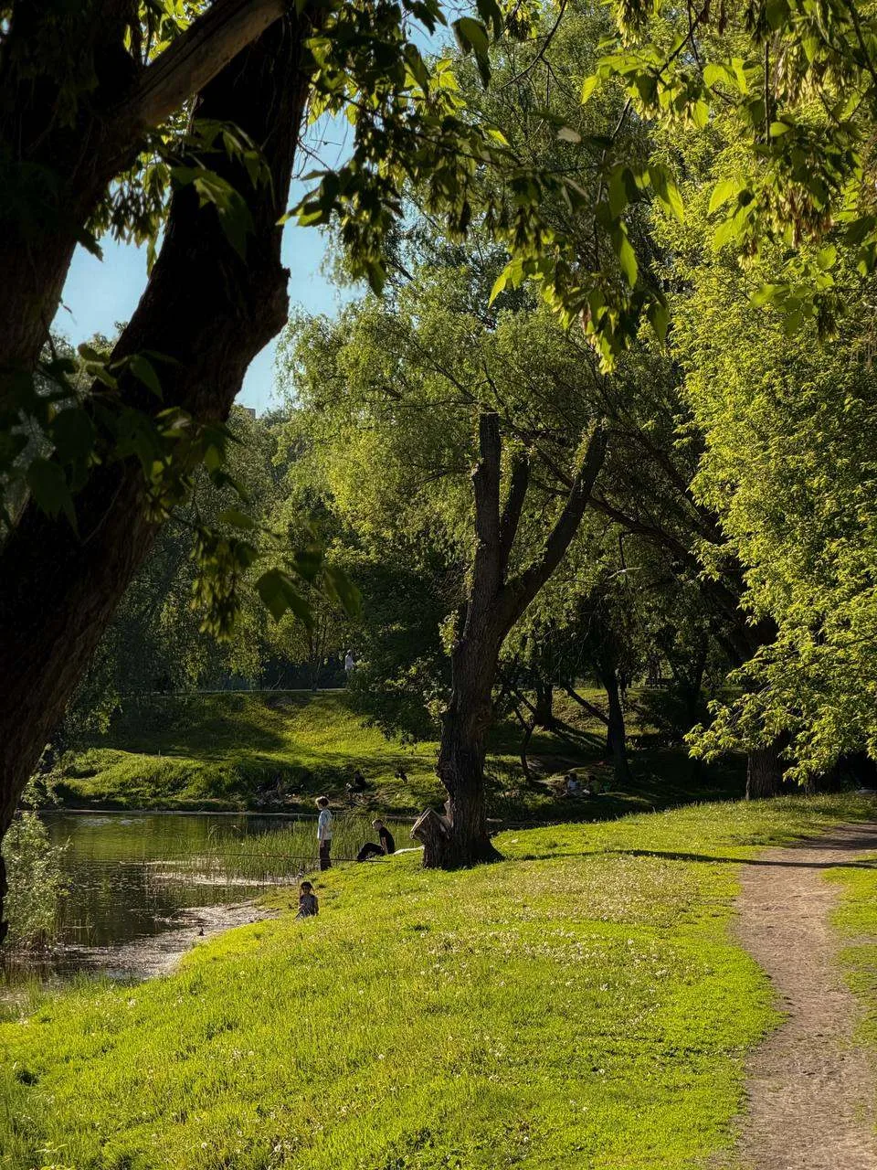🌳 Парк "Воронежские озёра", Самара