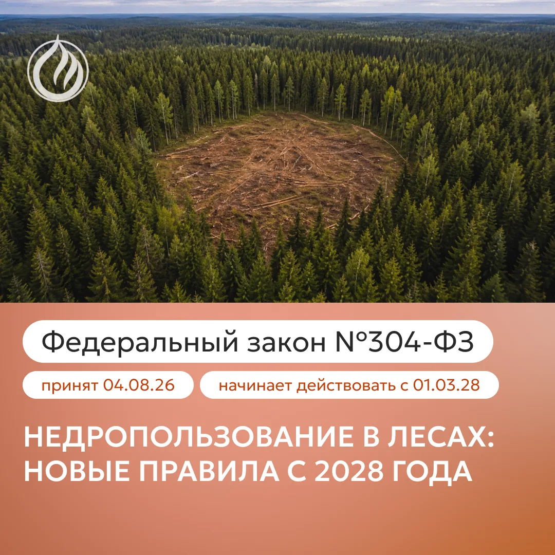 Расчистка вместо рубки: что меняется для недропользователей с 2028 года