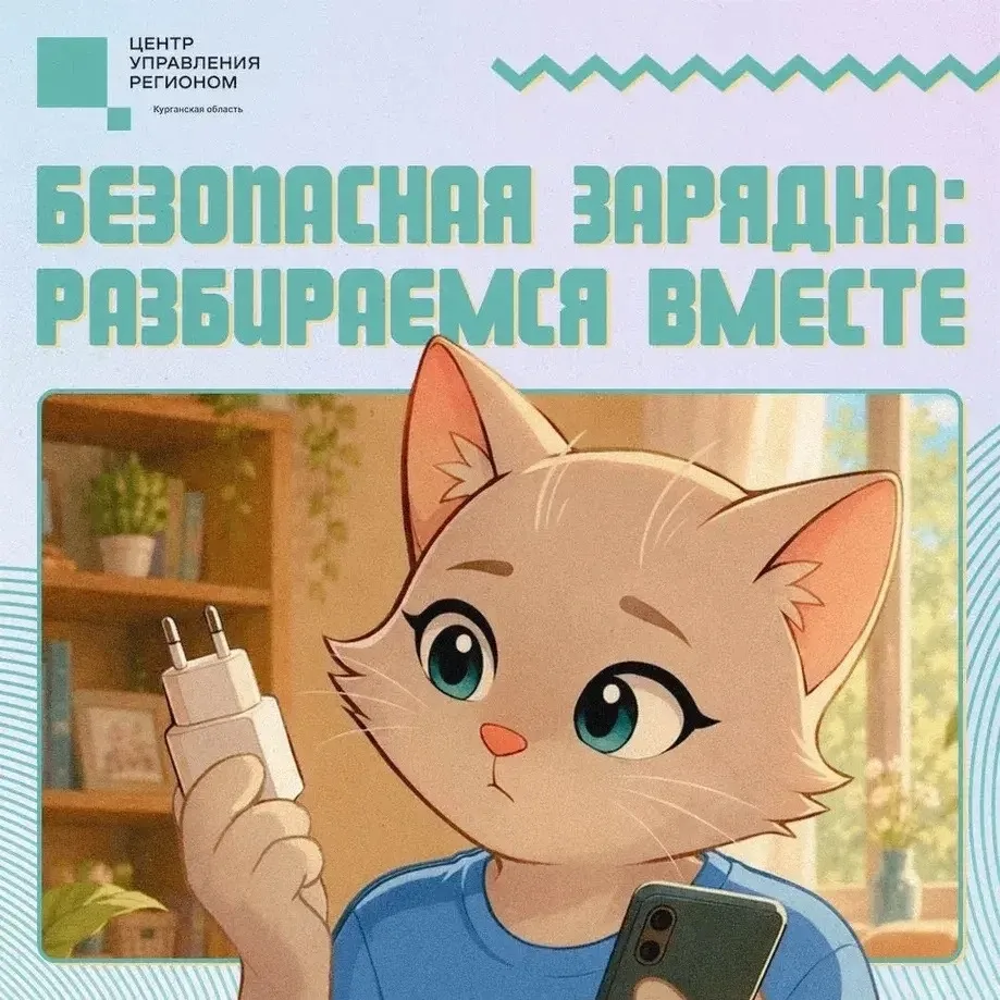 📱Безопасная зарядка смартфона – это не техническая мелочь, а вопрос вашей безопасности и долговечно