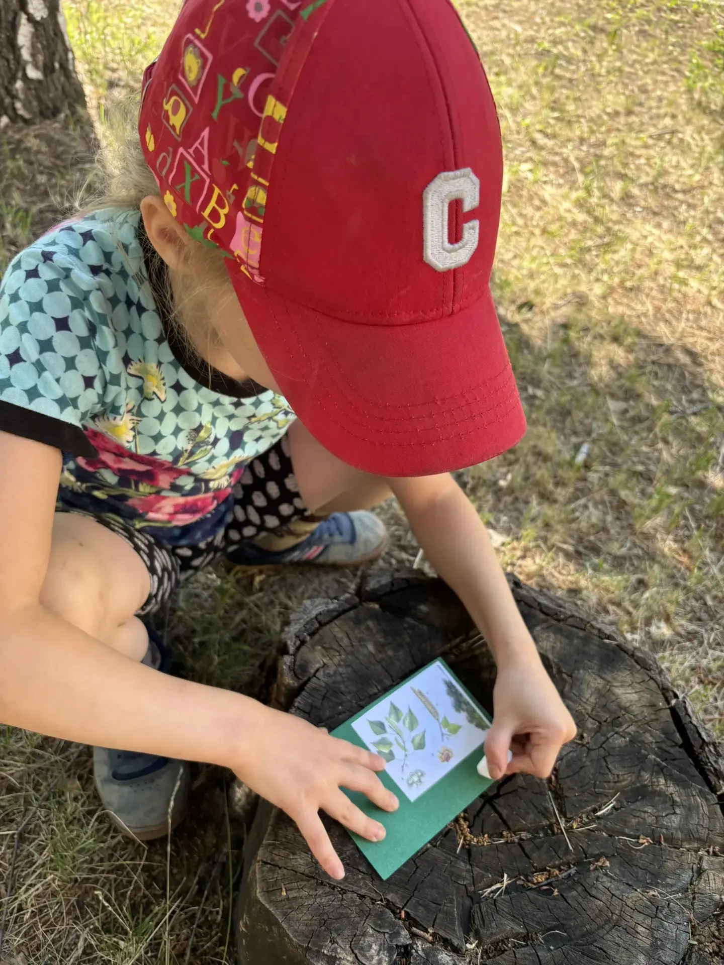 🌱🐜🐞
День юного натуралиста — это особый день в детском саду, посвящённый природе и её тайнам. В э