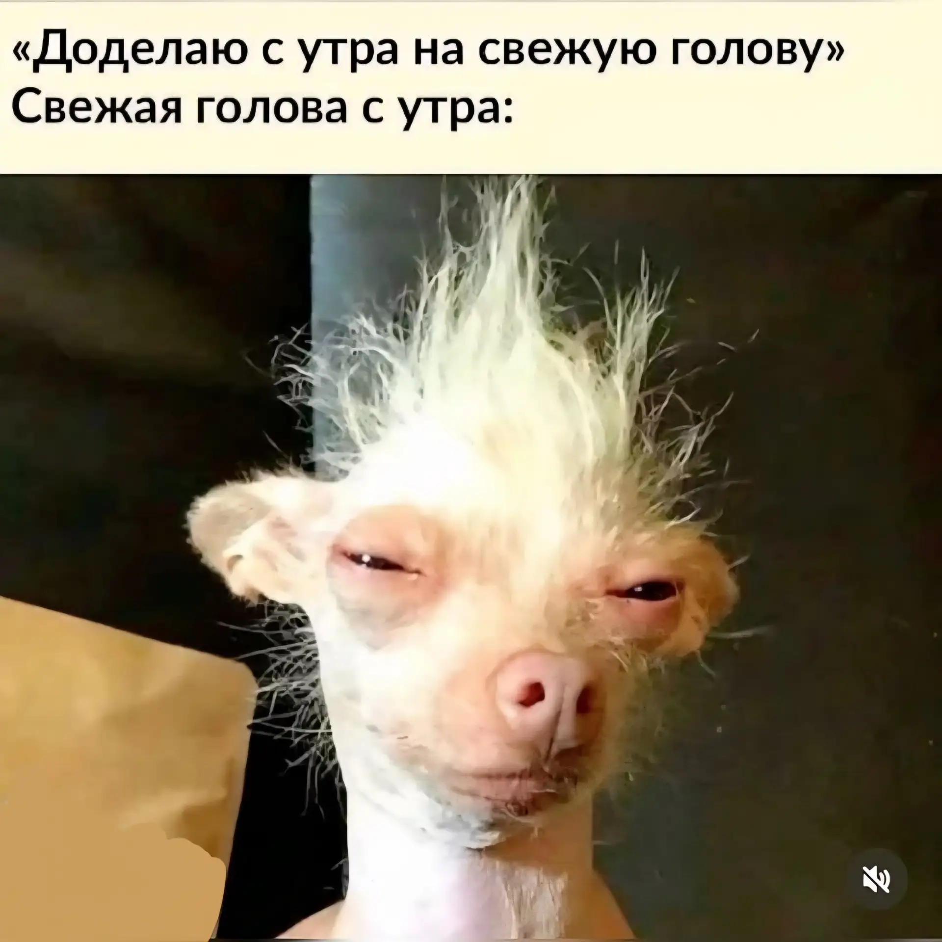 Вниматочно рекомендую сейчас читать тем, у кого вчера "точки мигали и отказывались исче...