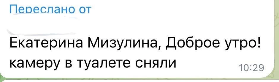 Изображение 1 к публикации «Екатерина Мизулина»