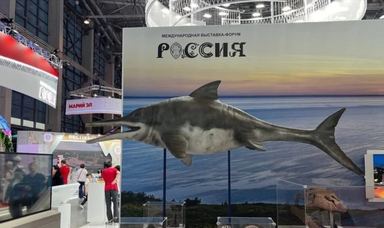 Руководитель Центра развития предпринимательства Александр Каравашкин пытается вернуть в казну почти