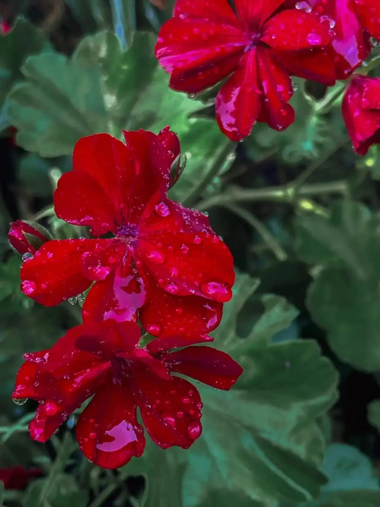 😍🌺 У природы нет плохой погоды