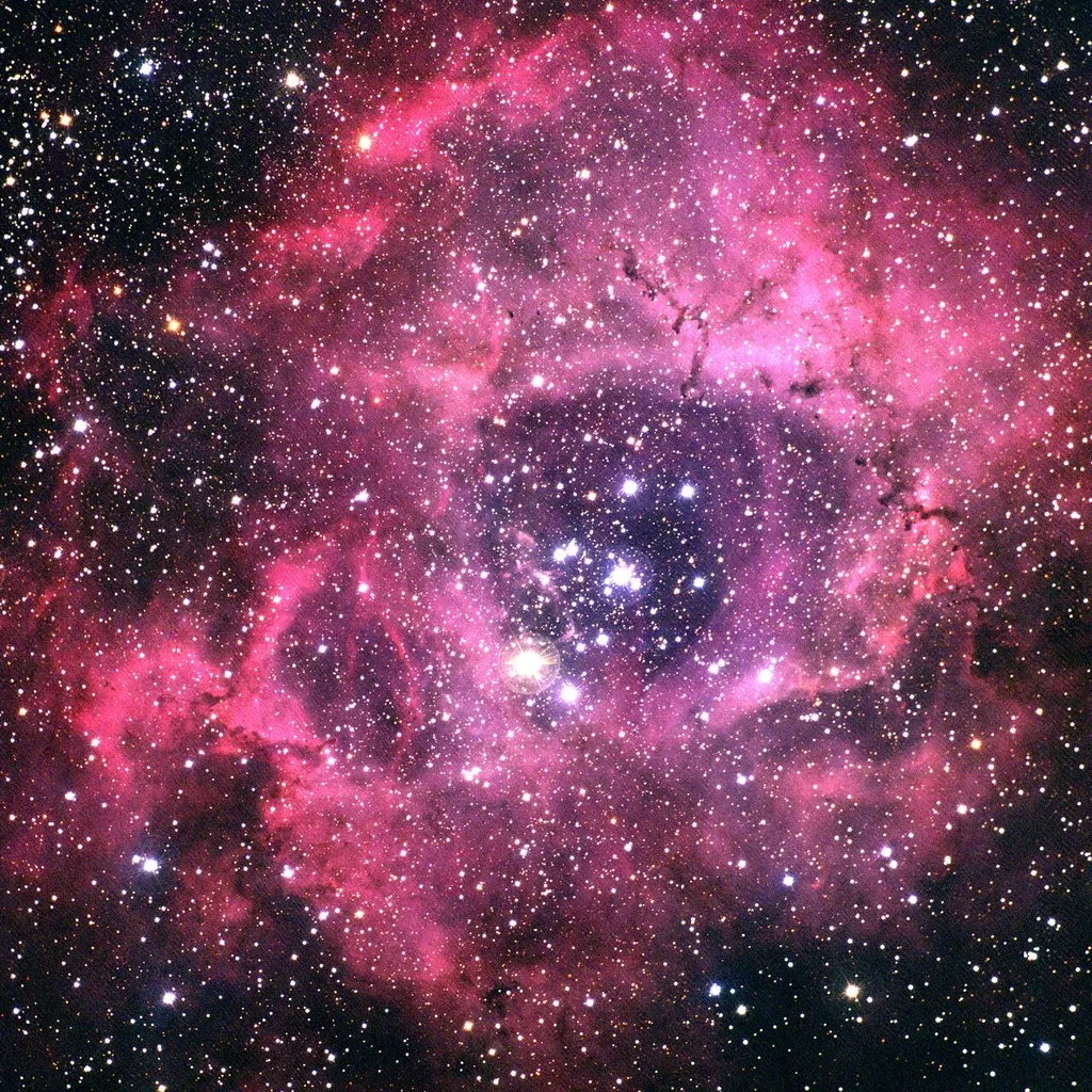 На изображении показана знаменитая эмиссионная туманность Розетка (NGC 2237), которая находится в со
