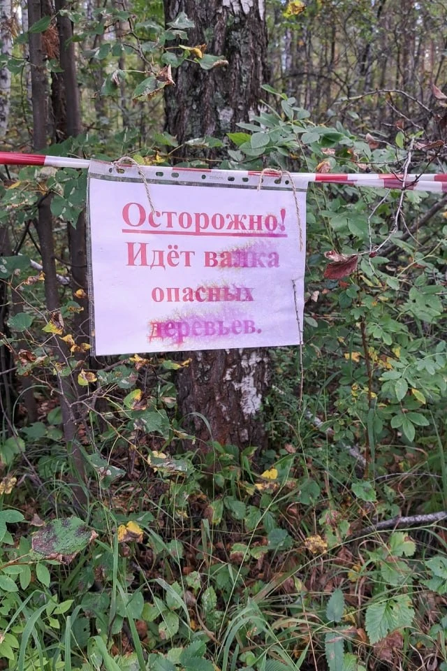 На Тургояке (по дороге на жемчужину)продали очередной участок леса. Пилят совсем не опа...