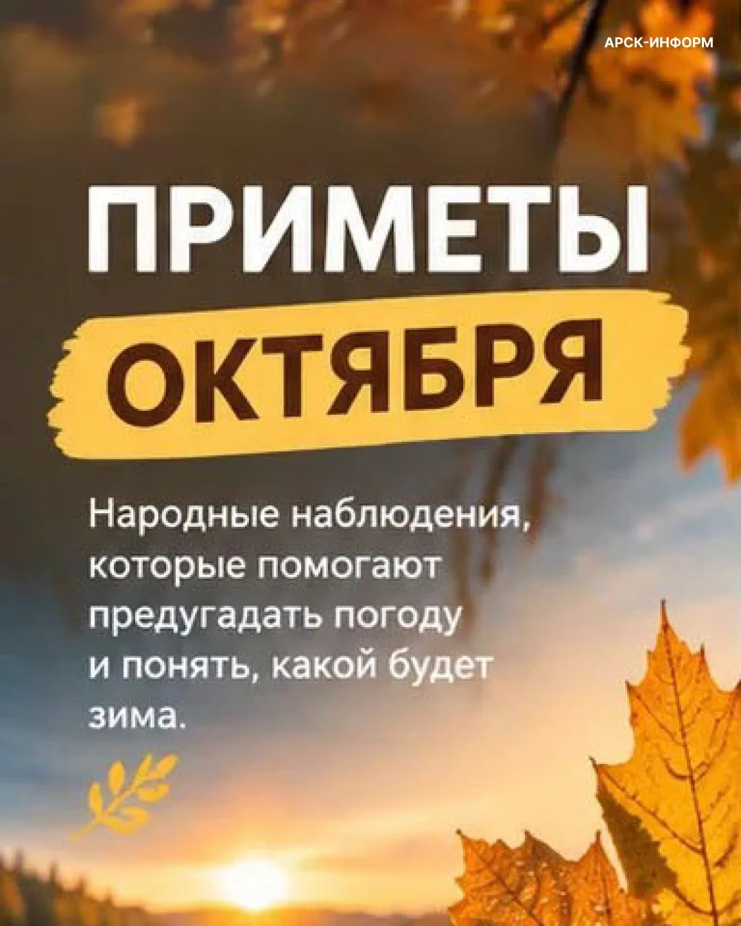 Раньше не было ни приложений, ни метеостанций — зато были приметы. Люди веками наблюдал...
