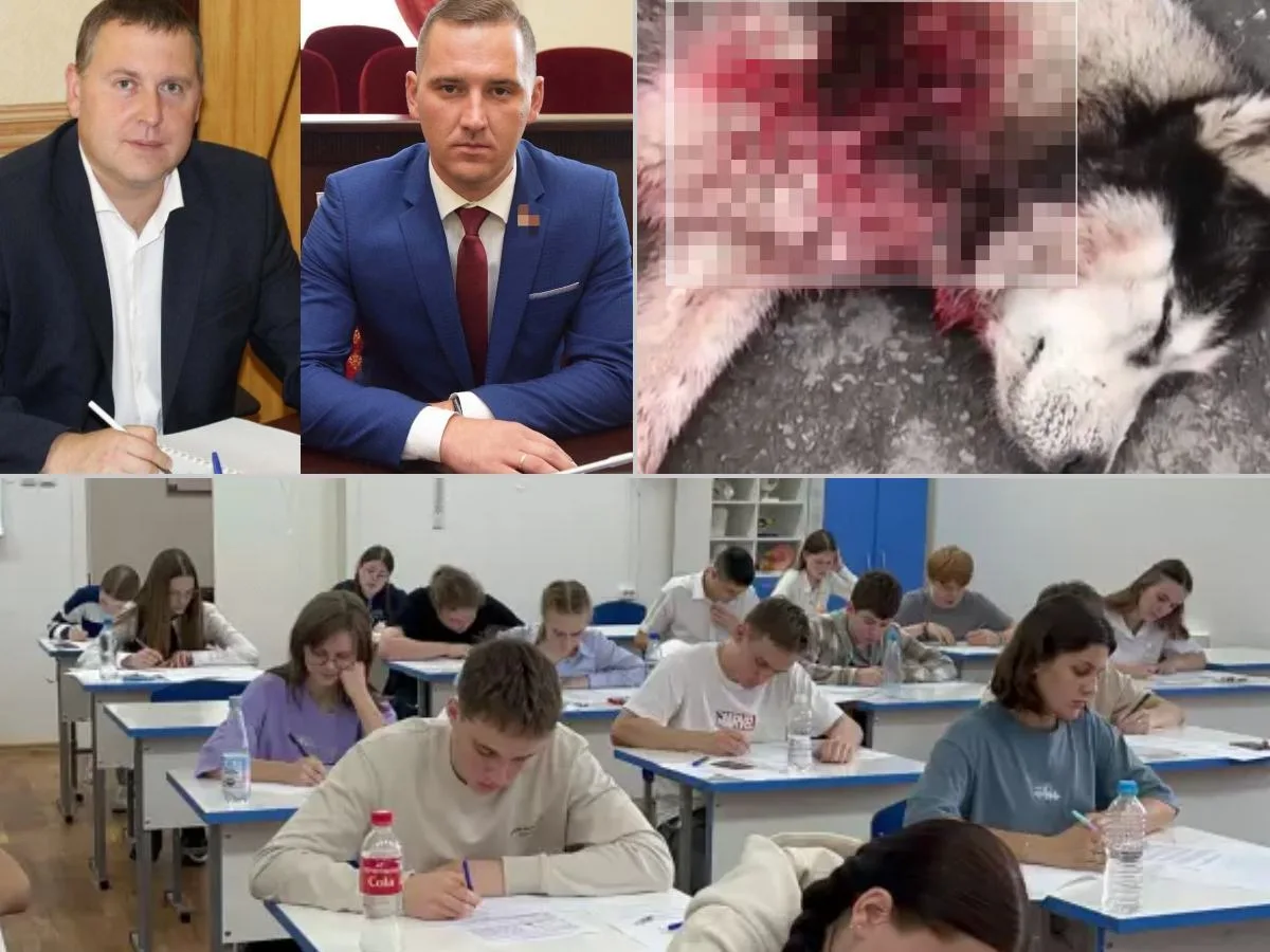 Главное за неделю: громкие кадровые перестановки в Шахтах, хаски дважды пырнули ножом, календарь ЕГЭ
