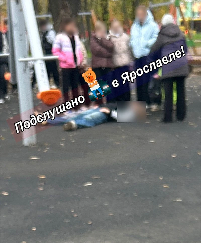 С качели в парке на Очках в Брагино упала девочка.