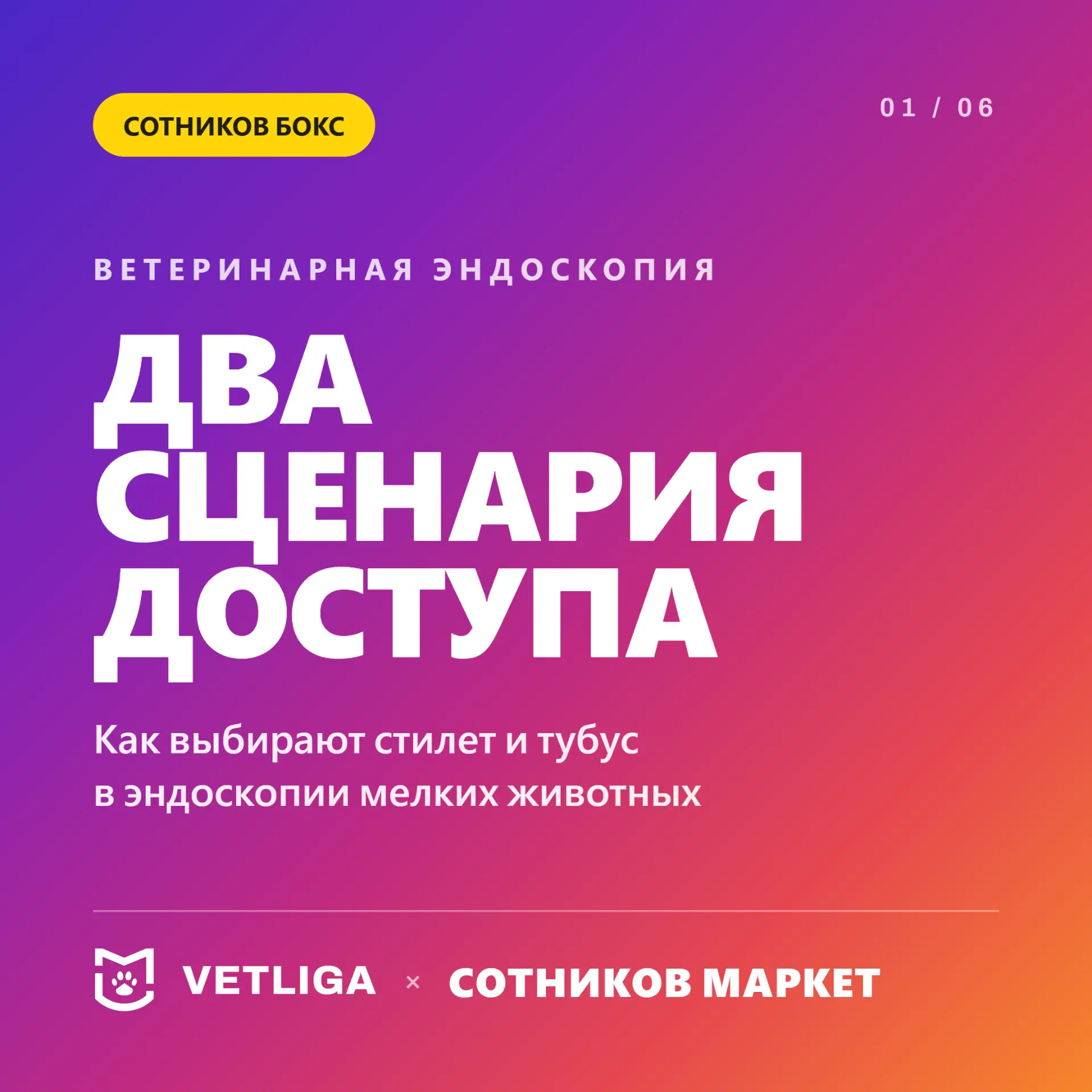 📢 Доступы и эндоскопические инструменты для диагностики