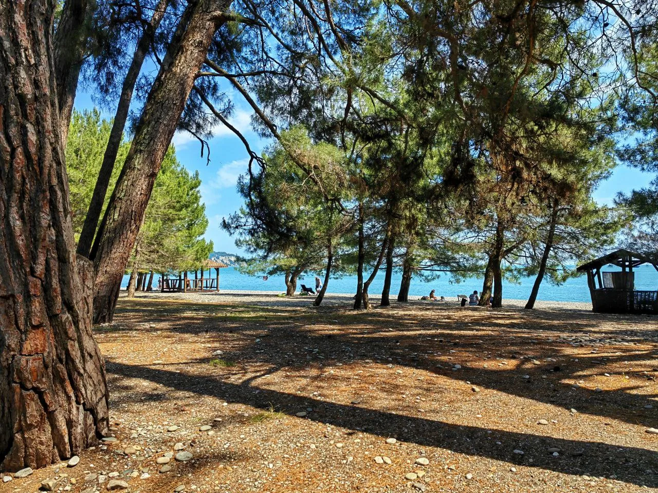"БУГЕНВИЛЛЕЯ" отель с бассейном  📍Лдзаа, ул. Аиааира, д. 35 🏝 сосновый пляж 5 минут 👥 размещение 2-4