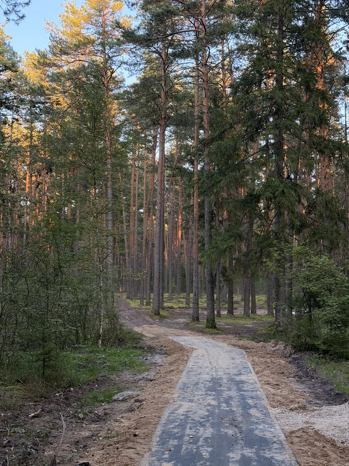 И еще красота 😍 нашей речки и природы ! 🌳🌲🪵