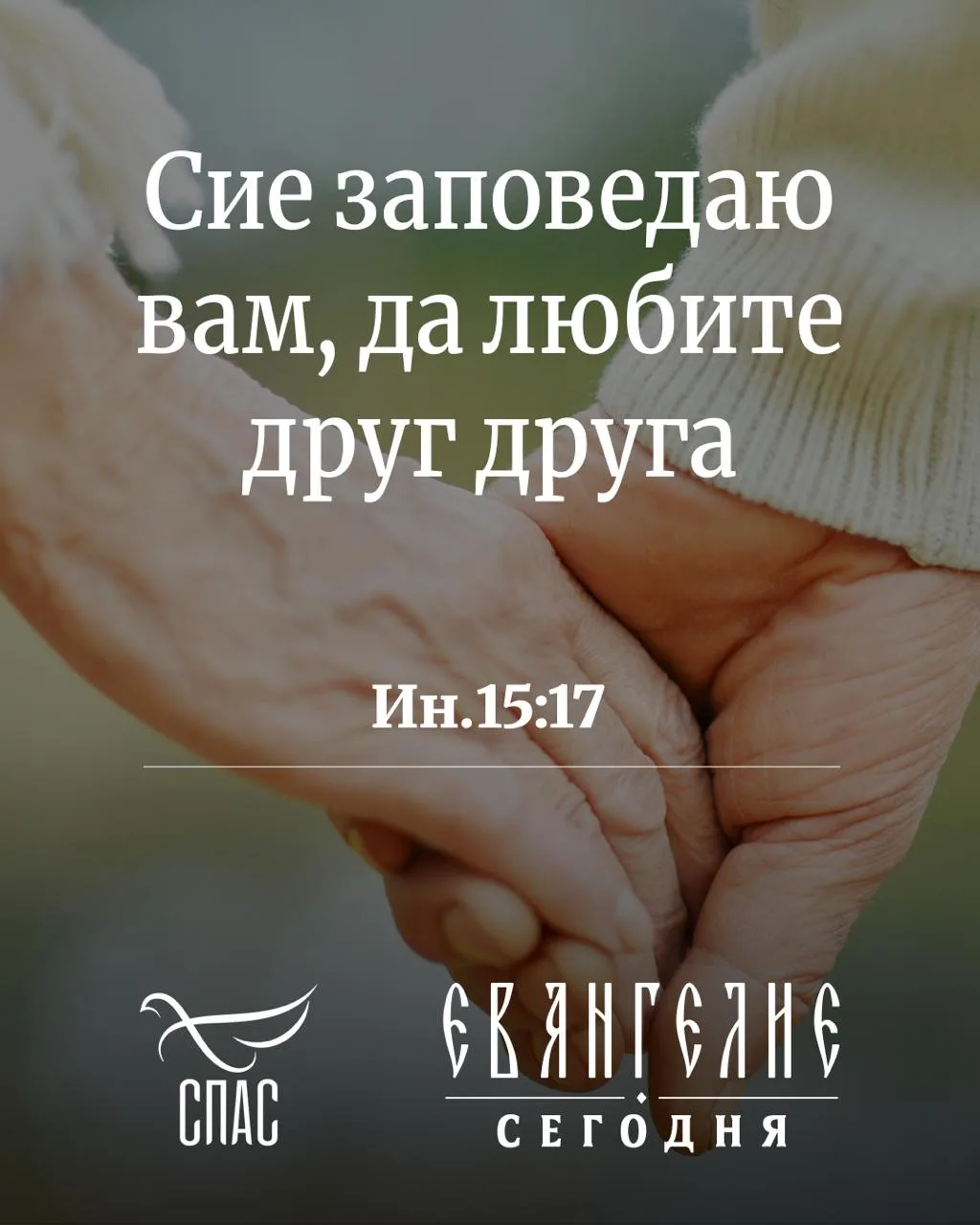 «Муж заставляет рожать, а я не хочу». Прямая линия жизни