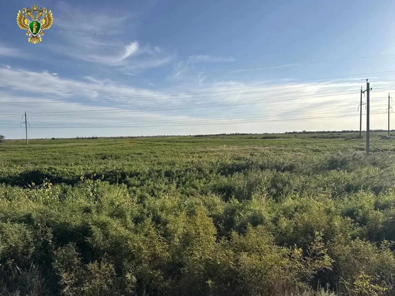 ⚡️Землю в Красноярском районе вернули государству после махинации с фиктивным гаражом