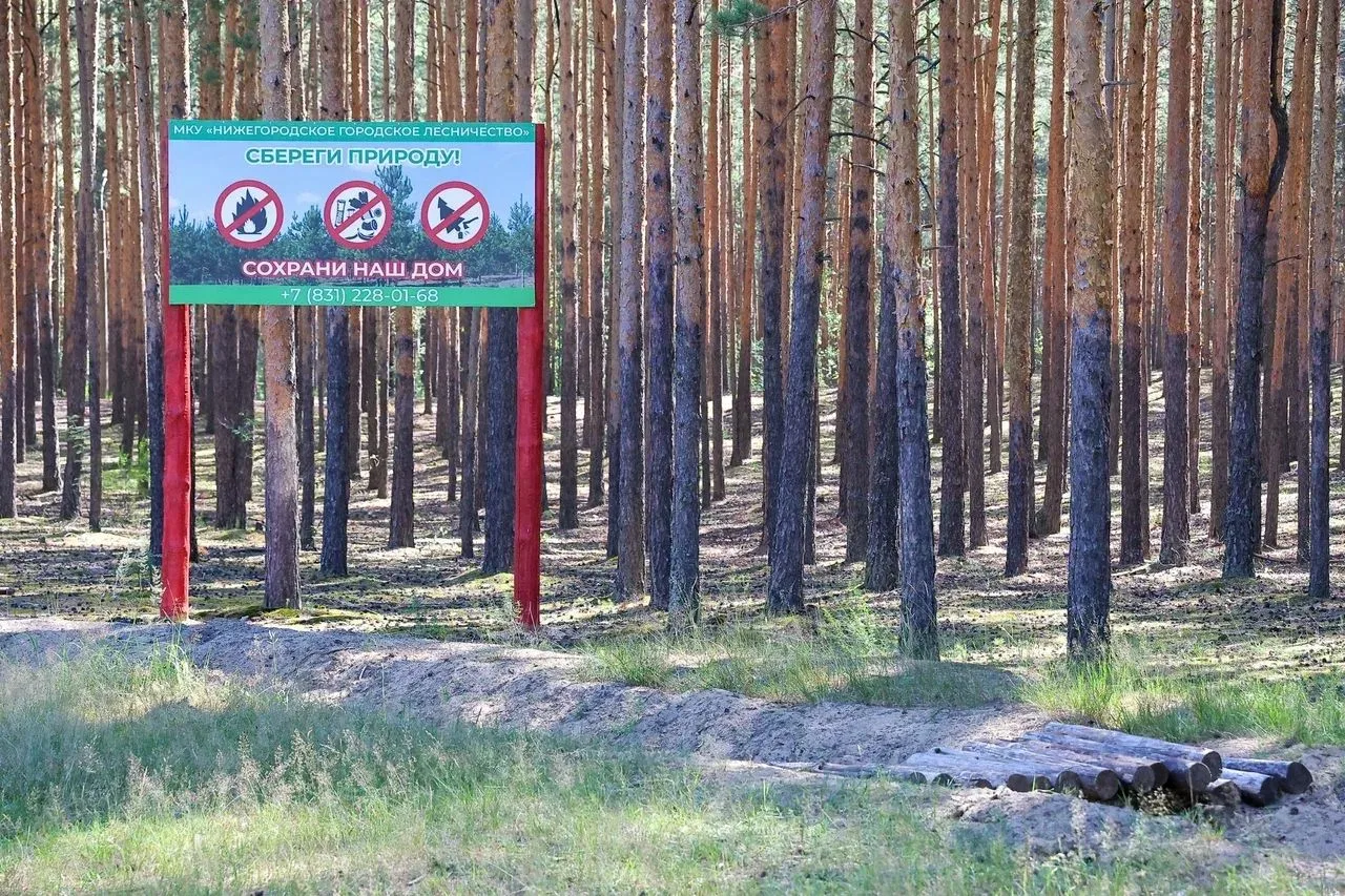 ❗️ Четвертый класс пожароопасности лесов и торфяников ожидается с 13 по 17 августа