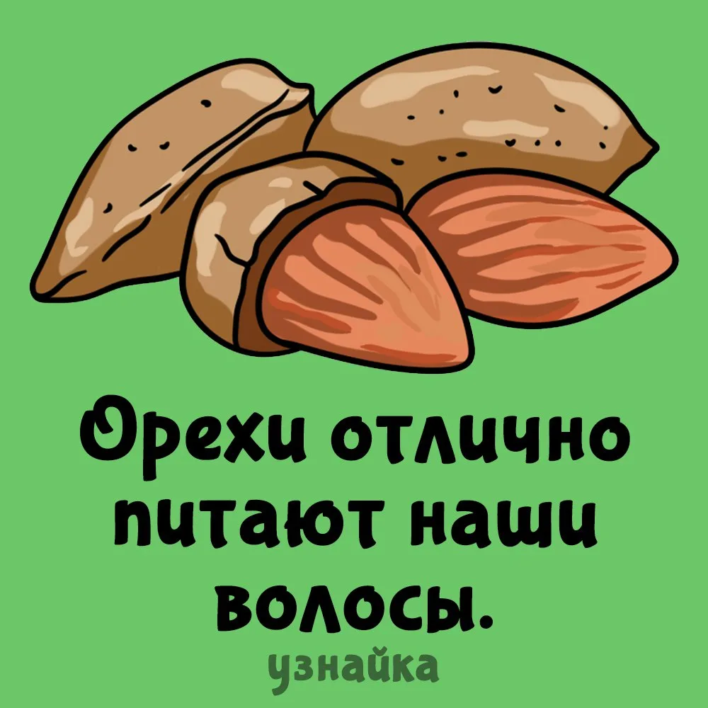 Узнайка рекомендует👍