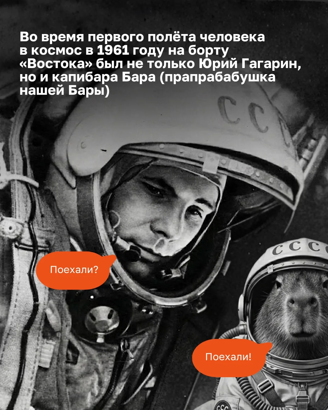 Время раскрыть тайну космоса… И не одну! Друзья, Капи и Бара передали нам информацию с маркировкой «